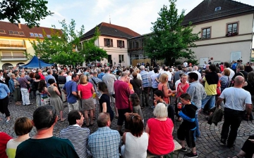 11/06/2015 - Festival Jazz Manouche - Zillisheim_2